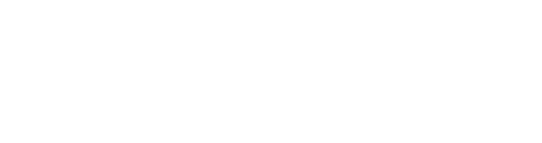 Elevated Partnership