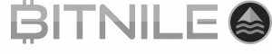 logo-bitnile-two-tone@2x