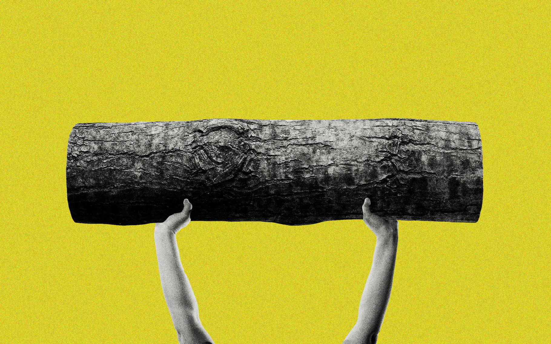 CrossFit Star Dani Speegle Handles 215-Pound Logs Like Pick-Up Sticks