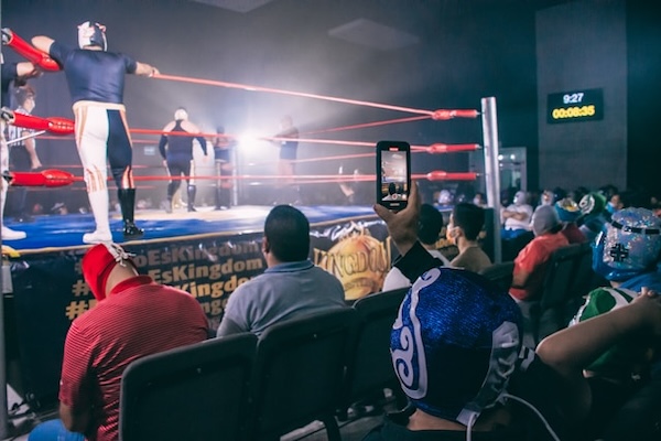 fans at wrestlemania41