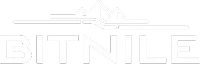 BITNILE_primary_lockup_1C_white