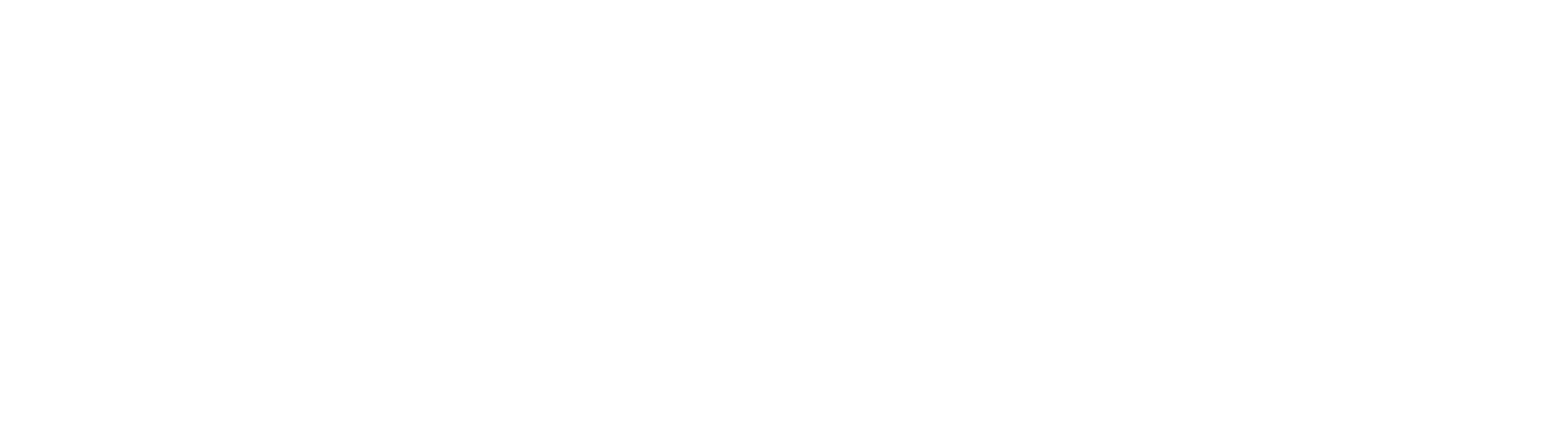 Elevated Partnership