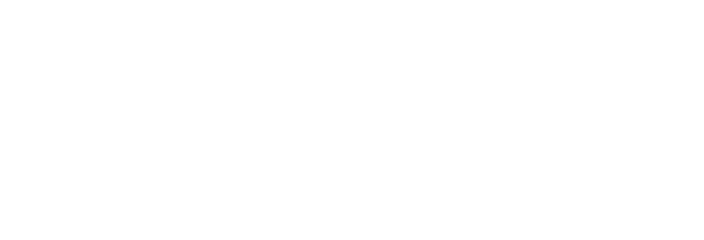 Tempo logo