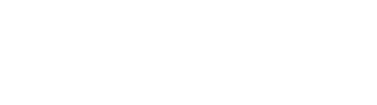 Elevated Partnership