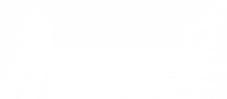 Elevated Partnership