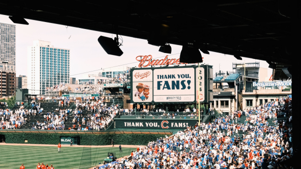 cost of being a sports fan