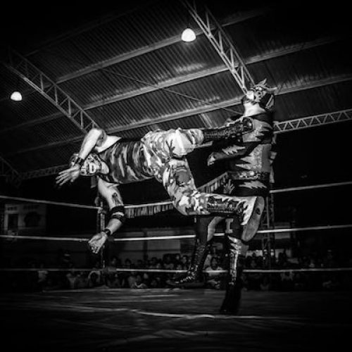 wrestling match similar to wrestlemania 41