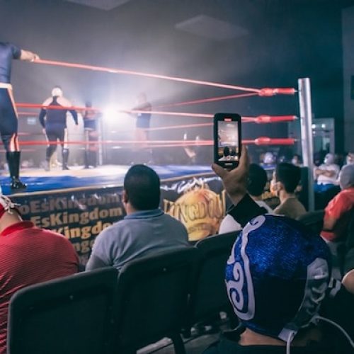 fans at wrestlemania41